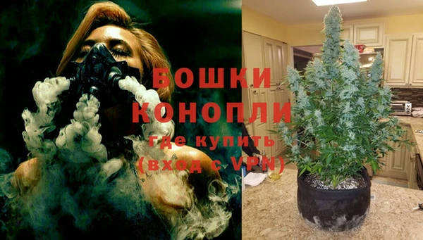 спиды Арсеньев