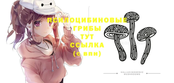дживик Нязепетровск