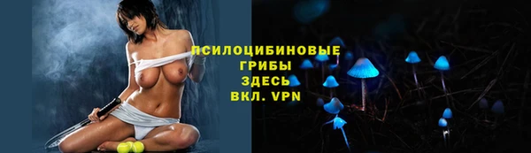 спиды Арсеньев
