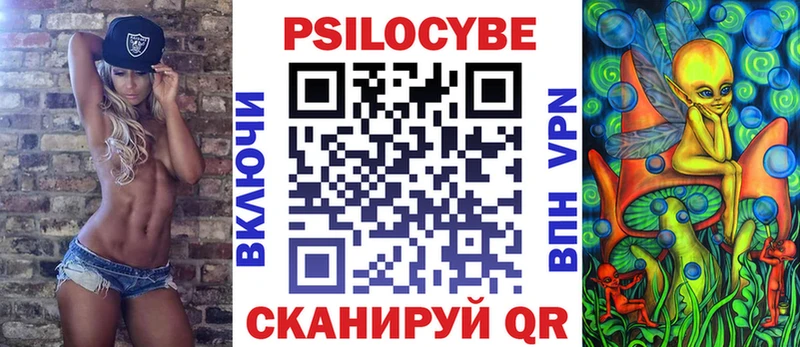 Псилоцибиновые грибы мицелий  Купить закладки  Заозёрск 